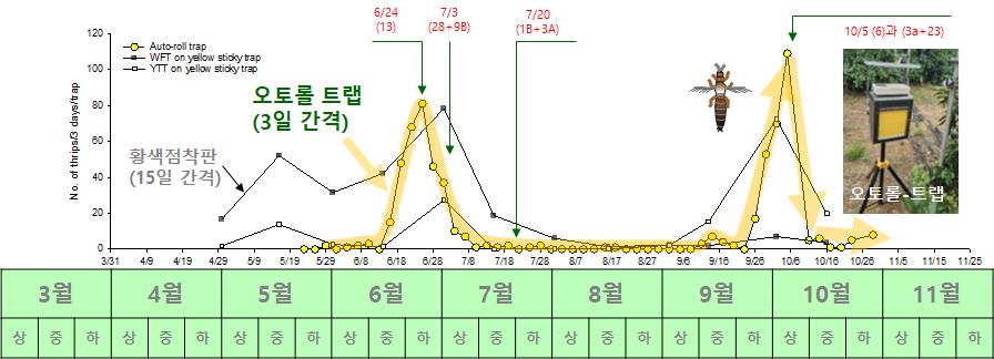 스마트해충예찰장치 '오토-롤트랩‘ 감귤 총채벌레류 자동예찰 적기방제 가능성 높여