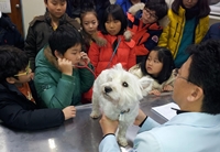 큰 호응 얻은 '겨울방학 교육기부 프로그램'