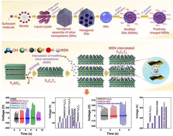 제주대 배진호 교수팀, 세계 최고수준 저널 ‘Advanced Functional Materials’에 연구논문 게재